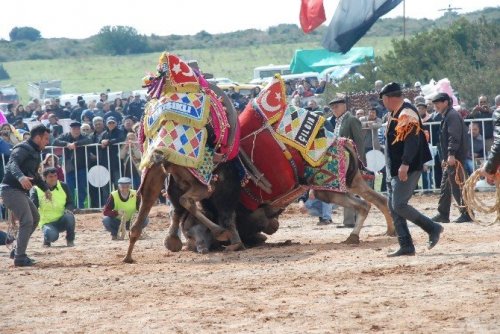 Develer spor kulübü yararına güreşti