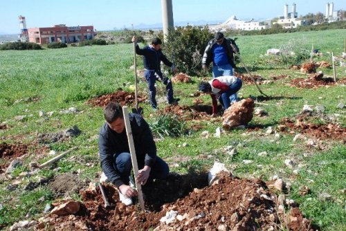 Kamu çalışanları fidan dikti