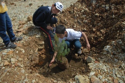 Kirazlı’da Gölet Mesire Alanı Ağaçlandırıldı