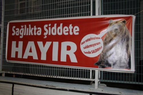 Sağlıkçılardan Şiddete Ayı'lı Tepki